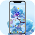HD Blue Flower Wallpaper