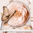 Tema da borboleta do rosa branco