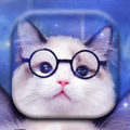 Cute Cat Theme
