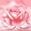 Pink Rose Love Theme