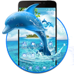 Aquatic Dolphin Mammals Theme