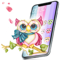 Colorful Cute Cartoon Owl Theme