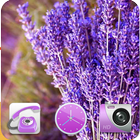 Icona Lavender theme