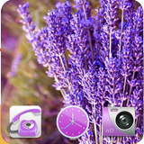 Icona Lavender theme