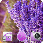 Lavender theme icon