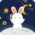 Cute rabbit theme