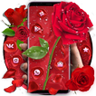 Red Lovely Flower Rose Romantic Theme