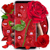Red Lovely Flower Rose Romantic Theme icône