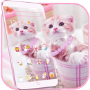 Rosado gato linda kitty tema Pink Cat Cute APK