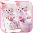 Pembe Kedi Sevimli pisi Tema Pink Cat Cute Kitty simgesi