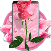 Romantic Classic Pink Rose Theme