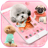 آیکون‌ 🐶Cute Dog Theme Pet Dog Wallpaper🐶