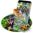 Super Lucky Koi Fish Theme APK