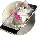 Cute Kitty Cat 2D Theme APK