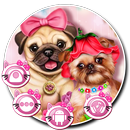 APK Pink Cute Lovely Pug Couple Puppy Theme