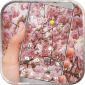 Pink Sakura Flower Wallpaper icon