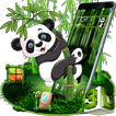 Cartoon Panda 3D Theme