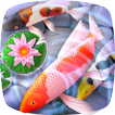 Koi Fish 3D Animated Live Theme