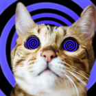 Dog and Cat Hypnotizer Simulator icon