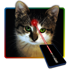 激光指针猫玩笑 圖標