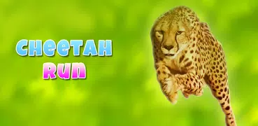 Cheetah Run