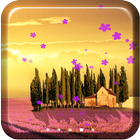 Lavender Live Wallpaper أيقونة