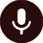 Dual voice Recorder ícone