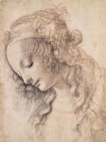 Sketches by Leonardo Da Vinci Collection screenshot 2