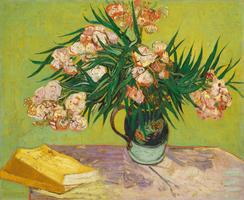 Vincent van Gogh Art Gallery screenshot 2