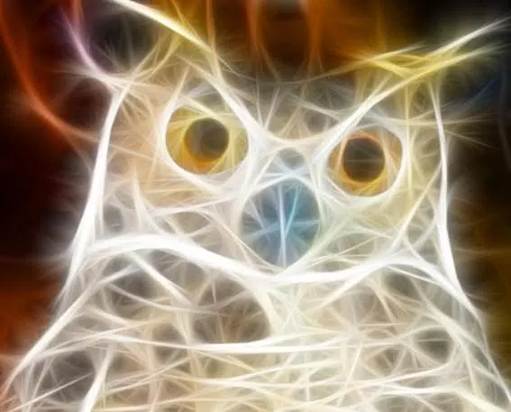 3D Animal Wallpaper APK for Android Download 3D Animal Wallpaper APK for Android Download