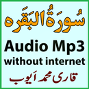 My Surah Baqrah Audio M Ayub APK