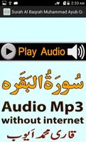 My Surah Baqrah Audio M Ayub Screenshot 3