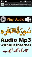 My Surah Baqrah Audio M Ayub Screenshot 1