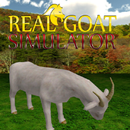 Goat City 3D Simulator APK