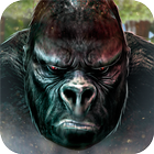 Kuru Kafa Kong 💀 Maymun Goril simgesi