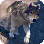 Online Wolf Games For Free