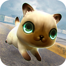 Котенок против Драконы APK