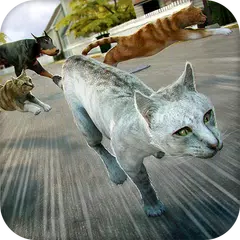 🐾 Katze Kätzchen Rennen 🐾 APK Herunterladen