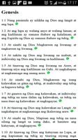 Bible Tagalog 海报