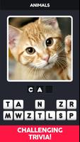 100 Pics Quiz ảnh chụp màn hình 2