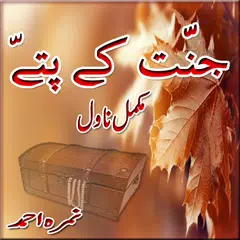 Jannat Ke Pattay Nimra Novel アプリダウンロード