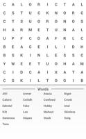 Word Search Puzzle 截图 1