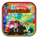 Cosculluela Musics and Lyrics APK