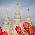 LDS Wallpaper & Slideshow