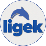 LİGEK