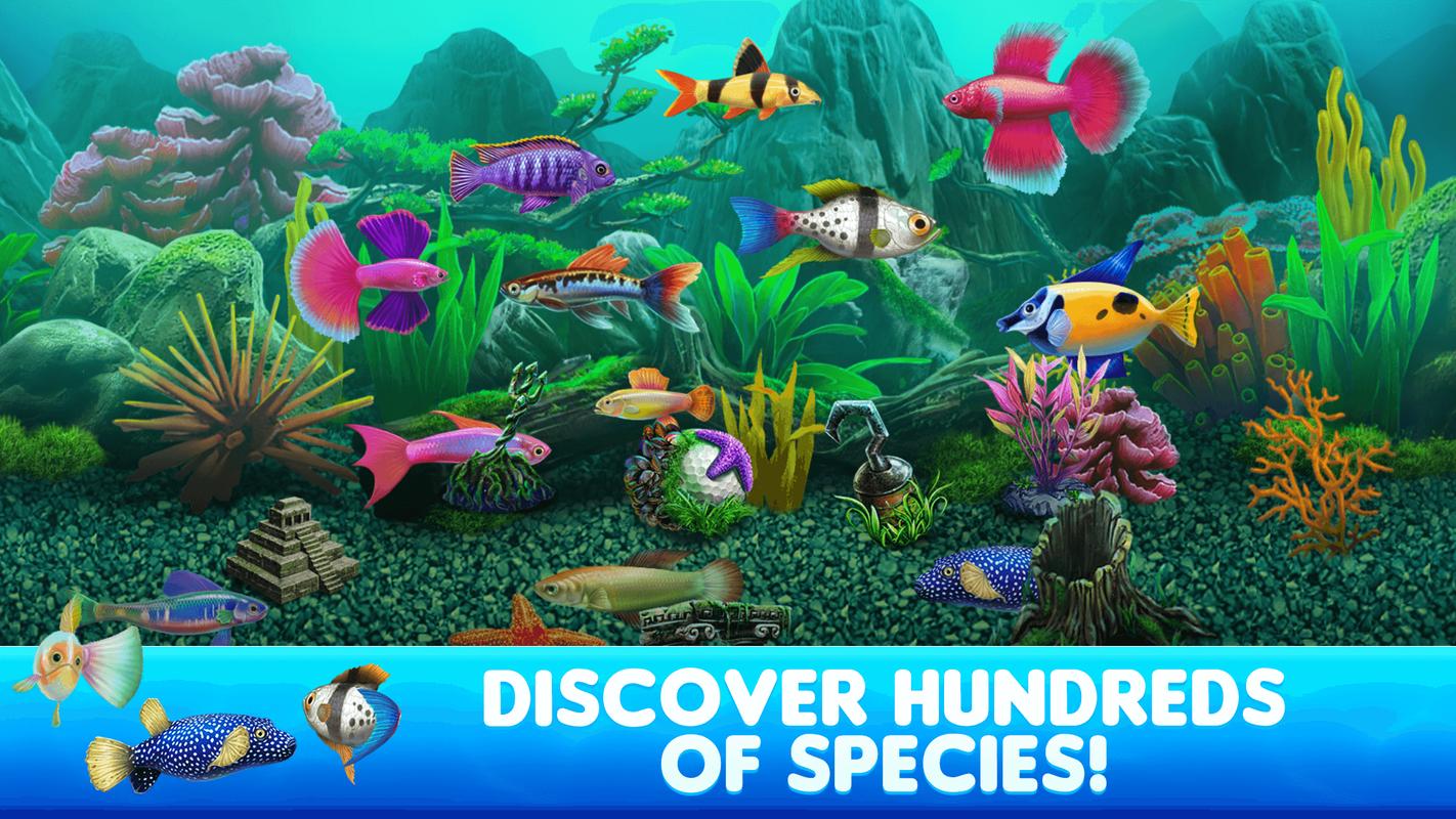 fish tycoon free download