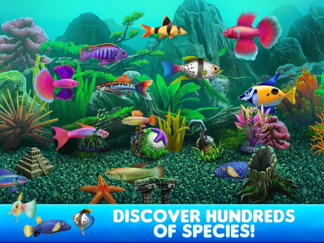 Fish Tycoon Fish Tycoon
