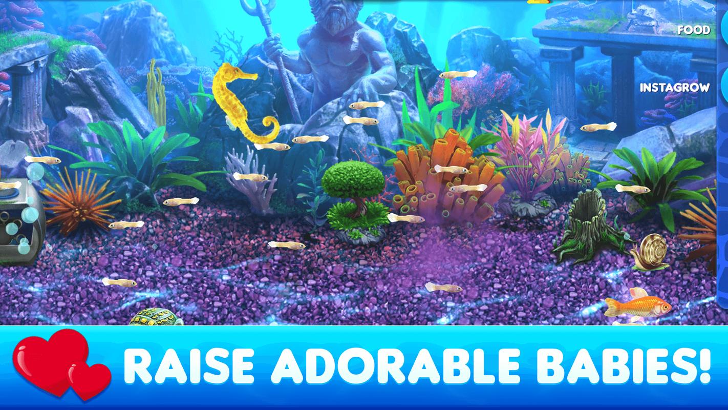 Free fish aquarium games