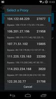 Proxy Settings screenshot 3