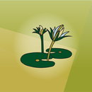 Bengal Relish APK